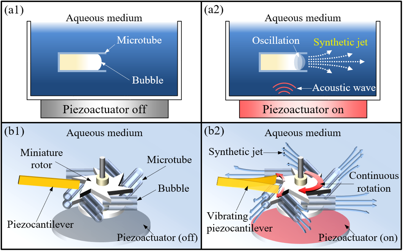 Schematic diagram.PNG